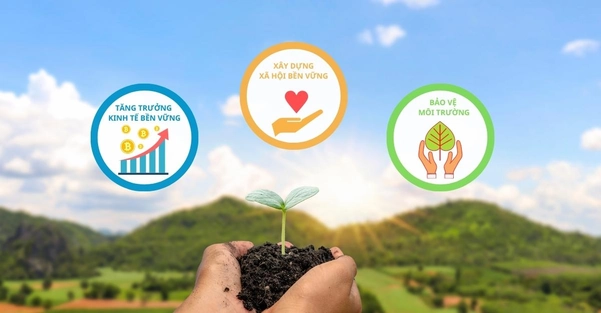 Đơn vị phát triển giúp nâng tầm giá trị sống cho toàn bộ dự án